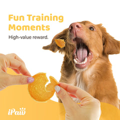 iPaw Chips Poulet – ingrédients de qualité sans céréales ni additifs