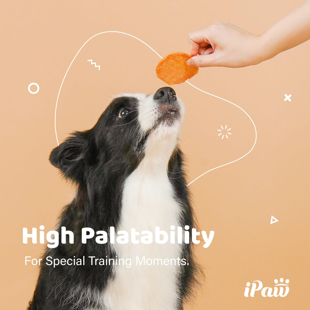 iPaw Chips Poulet – sans additifs artificiels pour une friandise naturelle