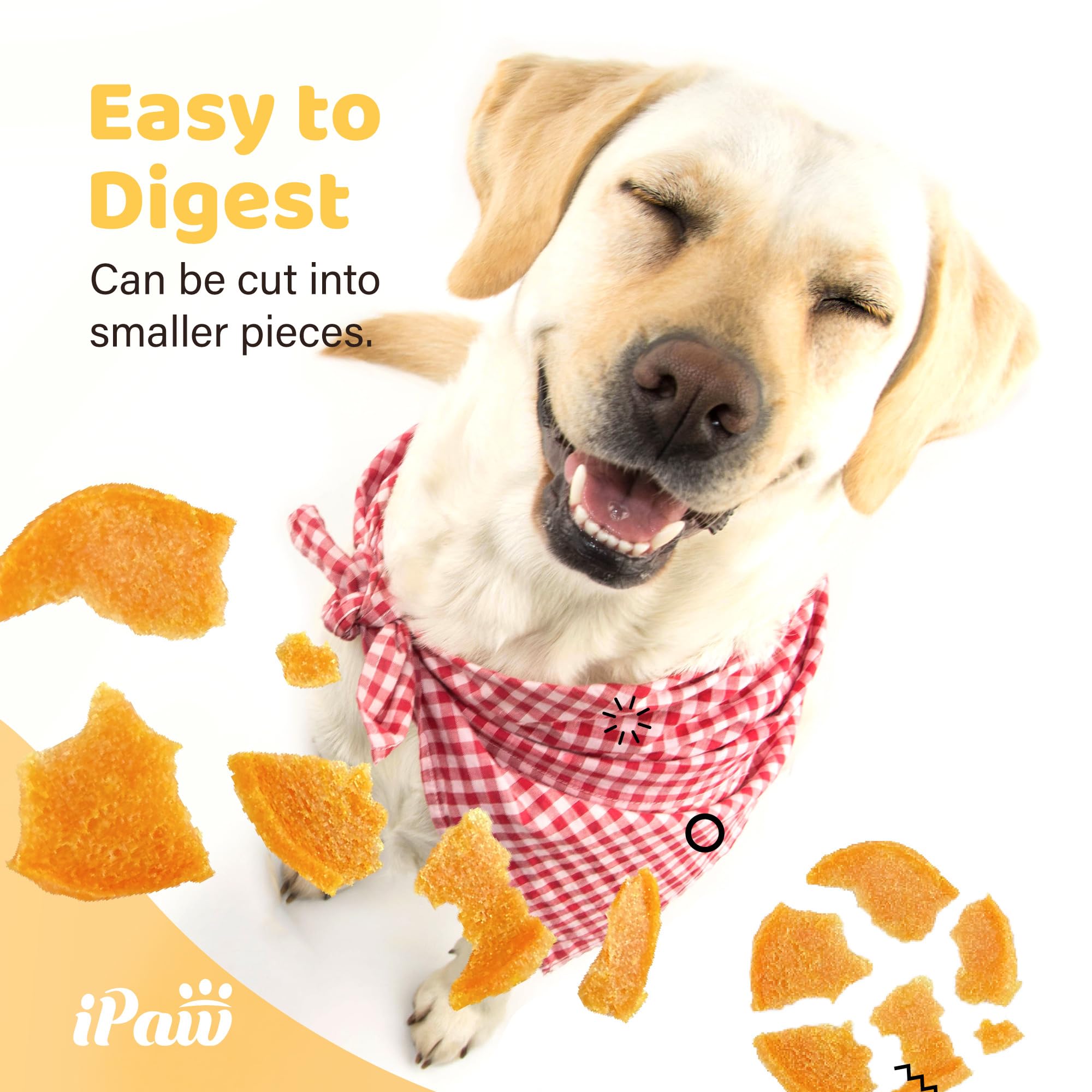 iPaw Chips Poulet – friandise sans additifs pour une récompense saine