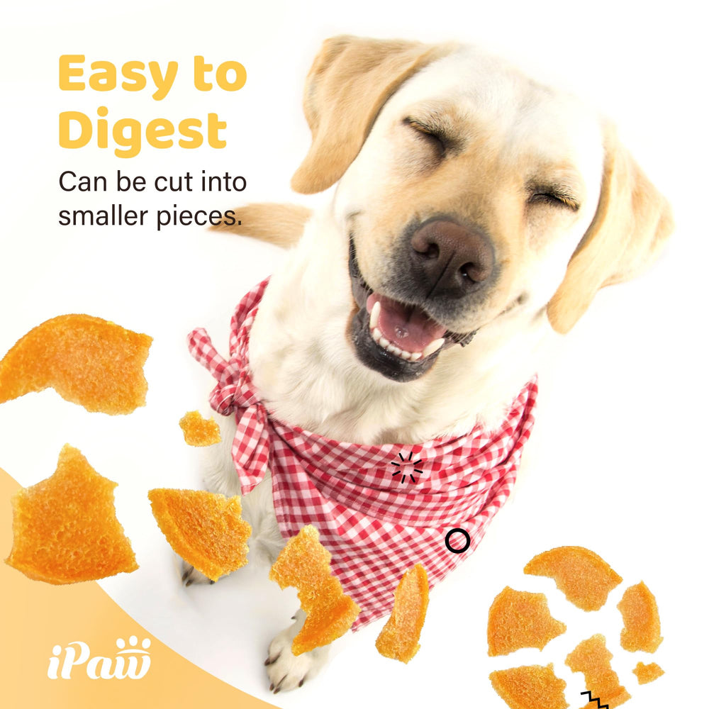 iPaw Chips Poulet – friandise sans additifs pour une récompense saine