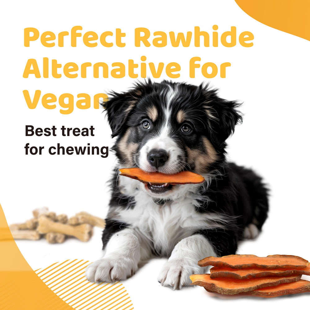Zoom sur texture des friandises patates douces iPaw, nature et appétentes.