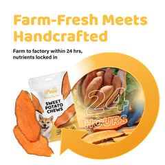 iPaw friandise fibre-naturelle-patate-douce-chien: soutien digestif grâce à la fibre.