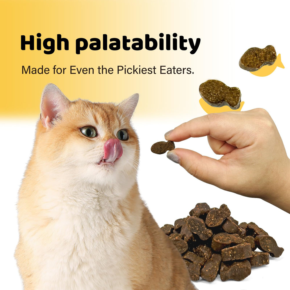 iPaw L-Lysine Chews : utilisation quotidienne simple pour le bien-être du chat
