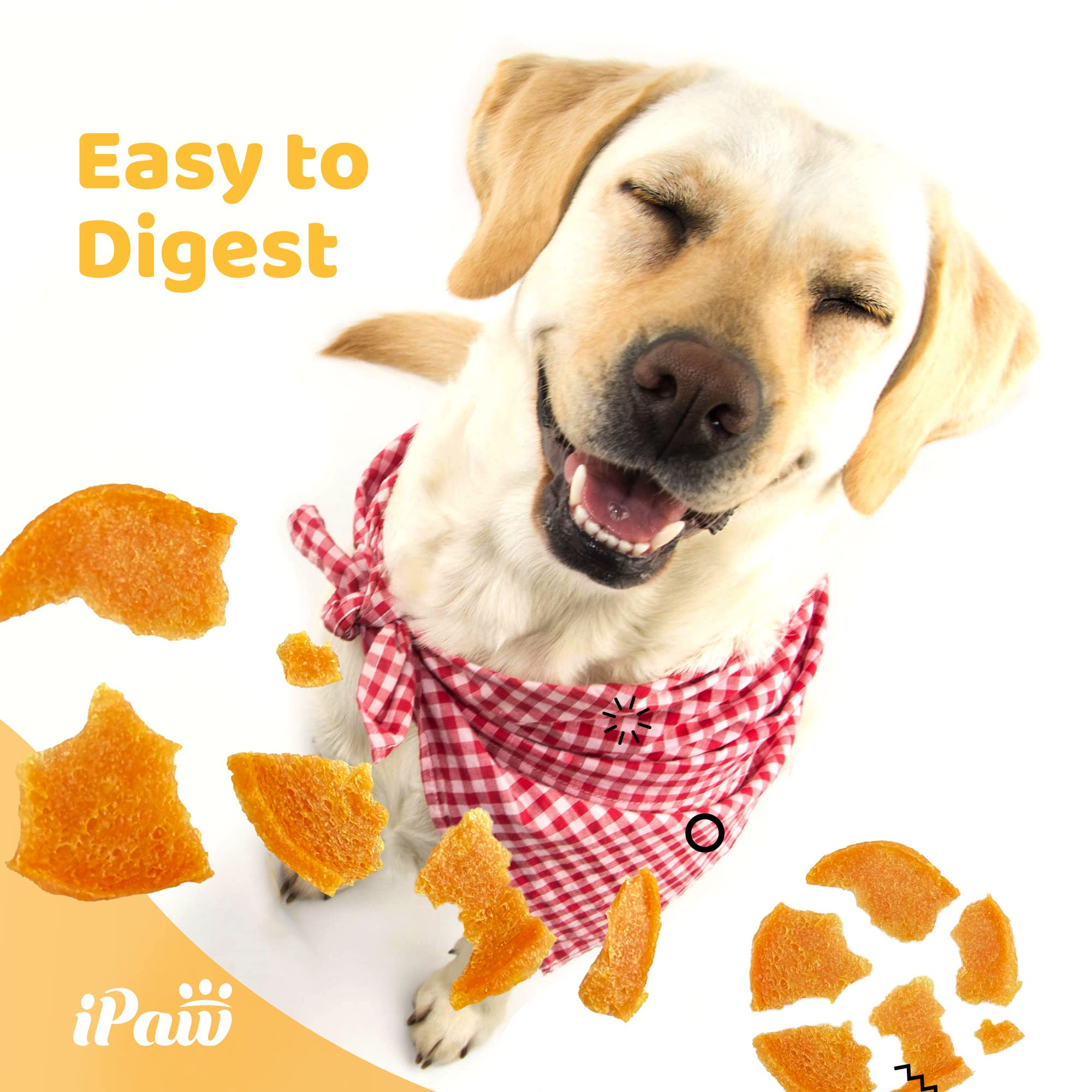 iPaw paquet deux bouchées : pratique pour le dressage en déplacement.