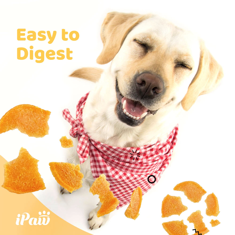 iPaw paquet deux bouchées : pratique pour le dressage en déplacement.