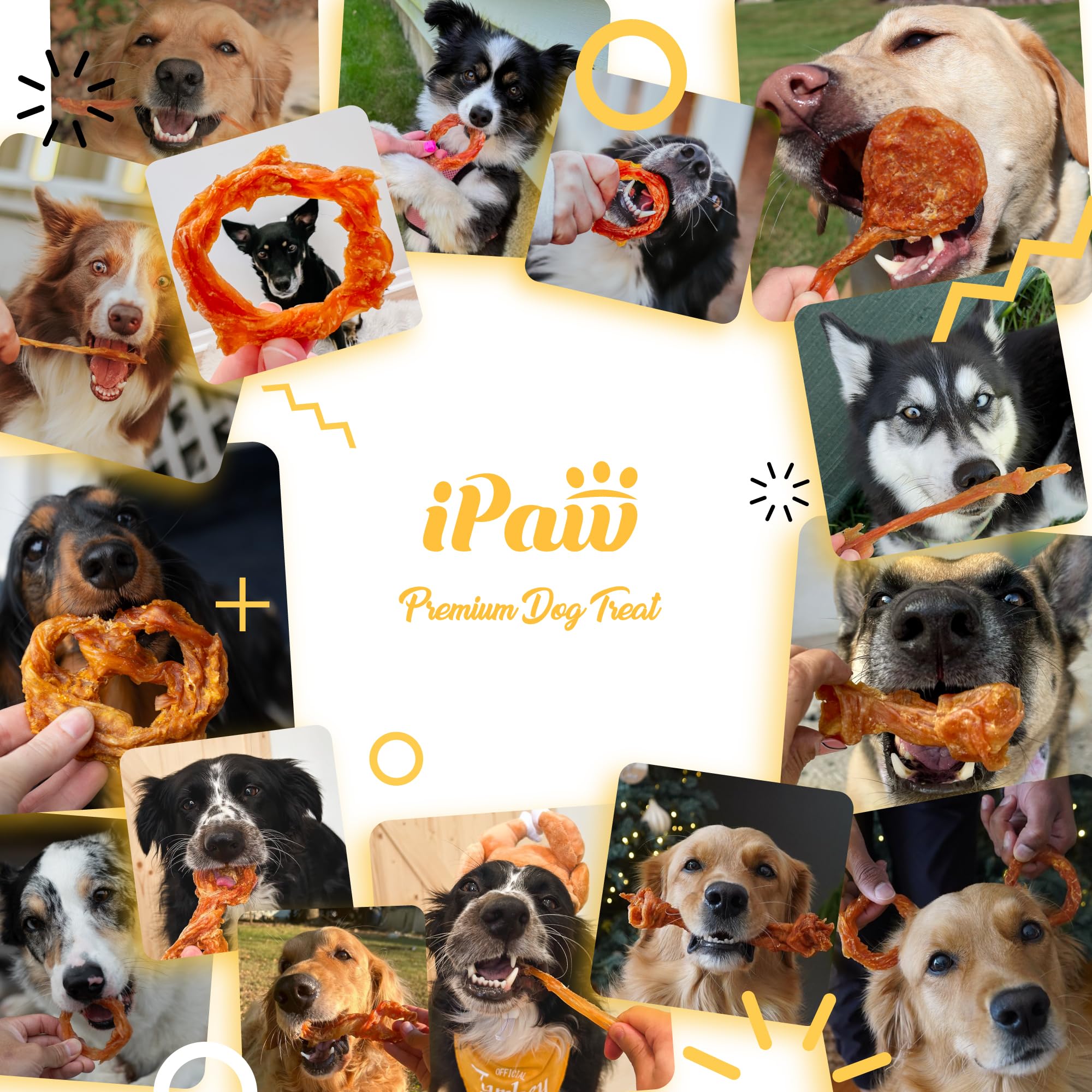 iPaw tendon dinde, soutien potentiel à la santé dentaire grâce à la mastication