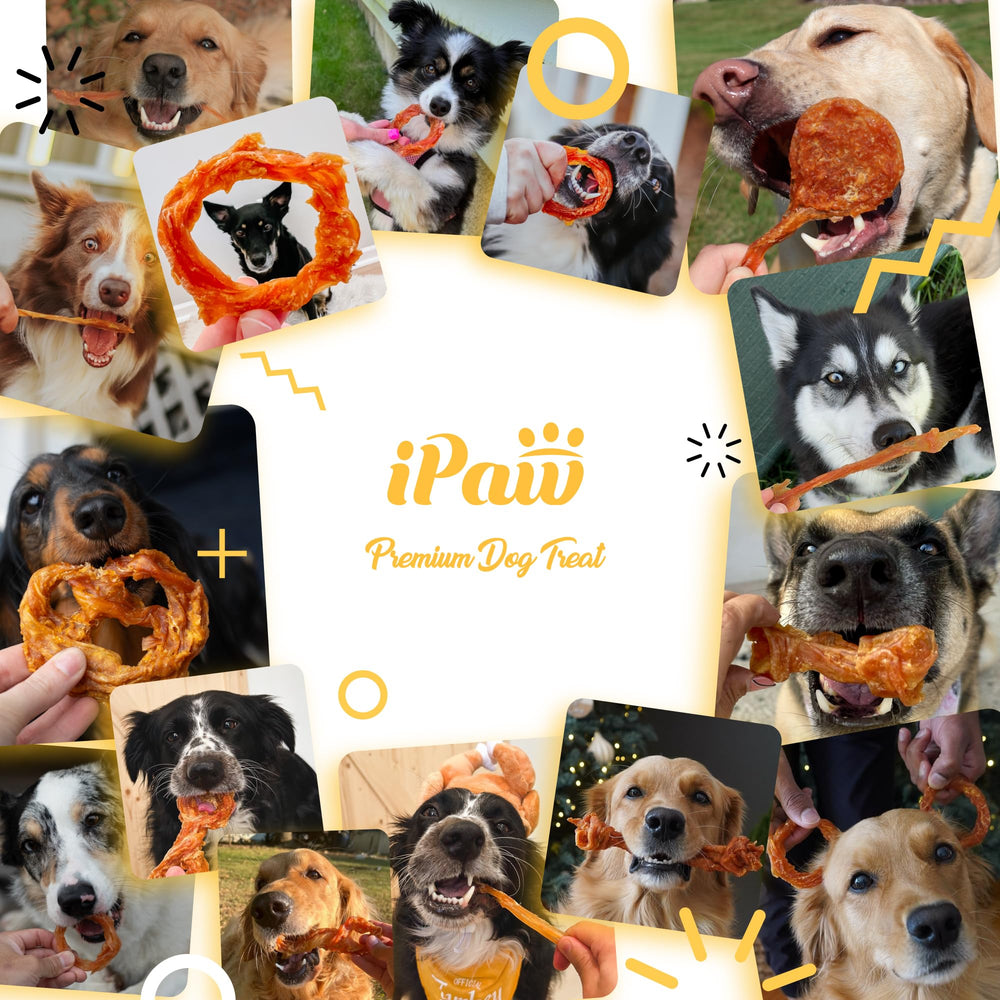 iPaw tendon de dinde hypoallergénique, gourmand et riche en protéines.