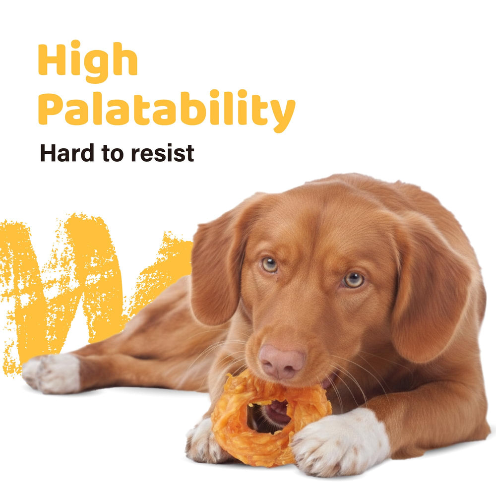 iPaw Tendons dinde mastication chiots : friandise protéine unique pour chiots.