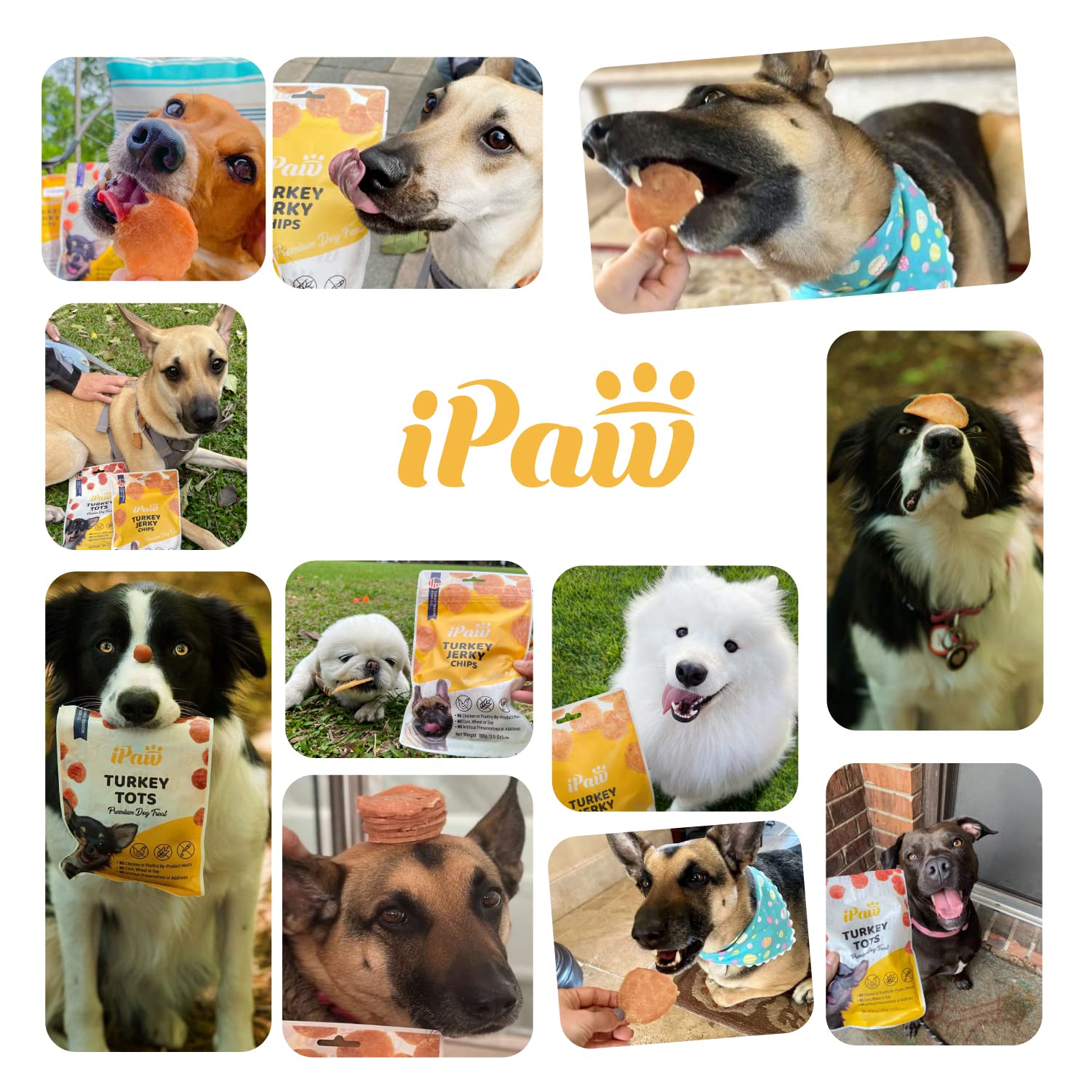 iPaw Turkey Tots : récompense savoureuse pendant l'entraînement.