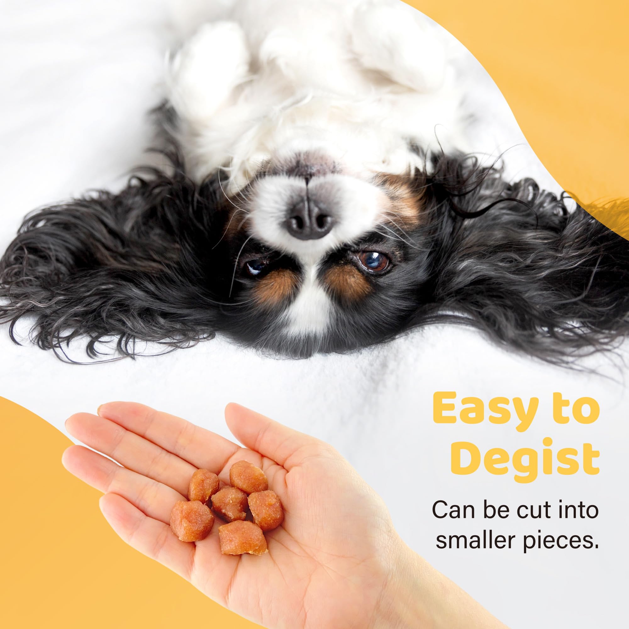 iPaw Turkey Tots: ingrédients simples et digestes pour toutes les tailles.