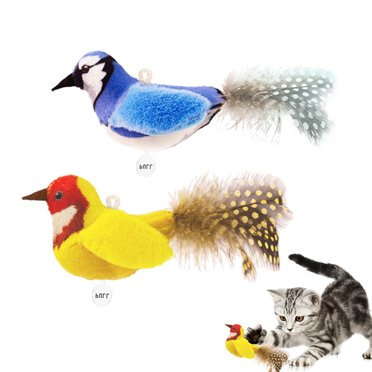 Ipawspace herbe-a-chat naturelle pour stimuler le jeu et favoriser le bien-être.
