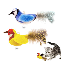 Ipawspace herbe-a-chat naturelle pour stimuler le jeu et favoriser le bien-être.