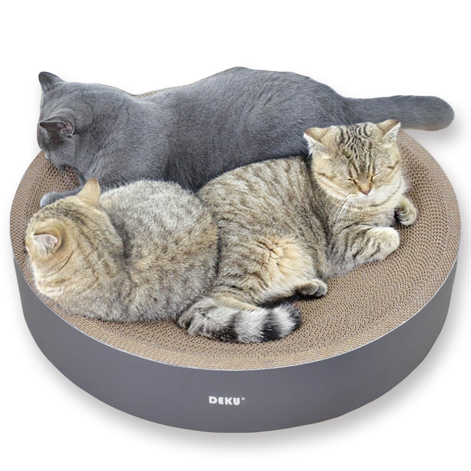 IPEAIN grattoir chat rond design courbe soutient le cou lors du repos.