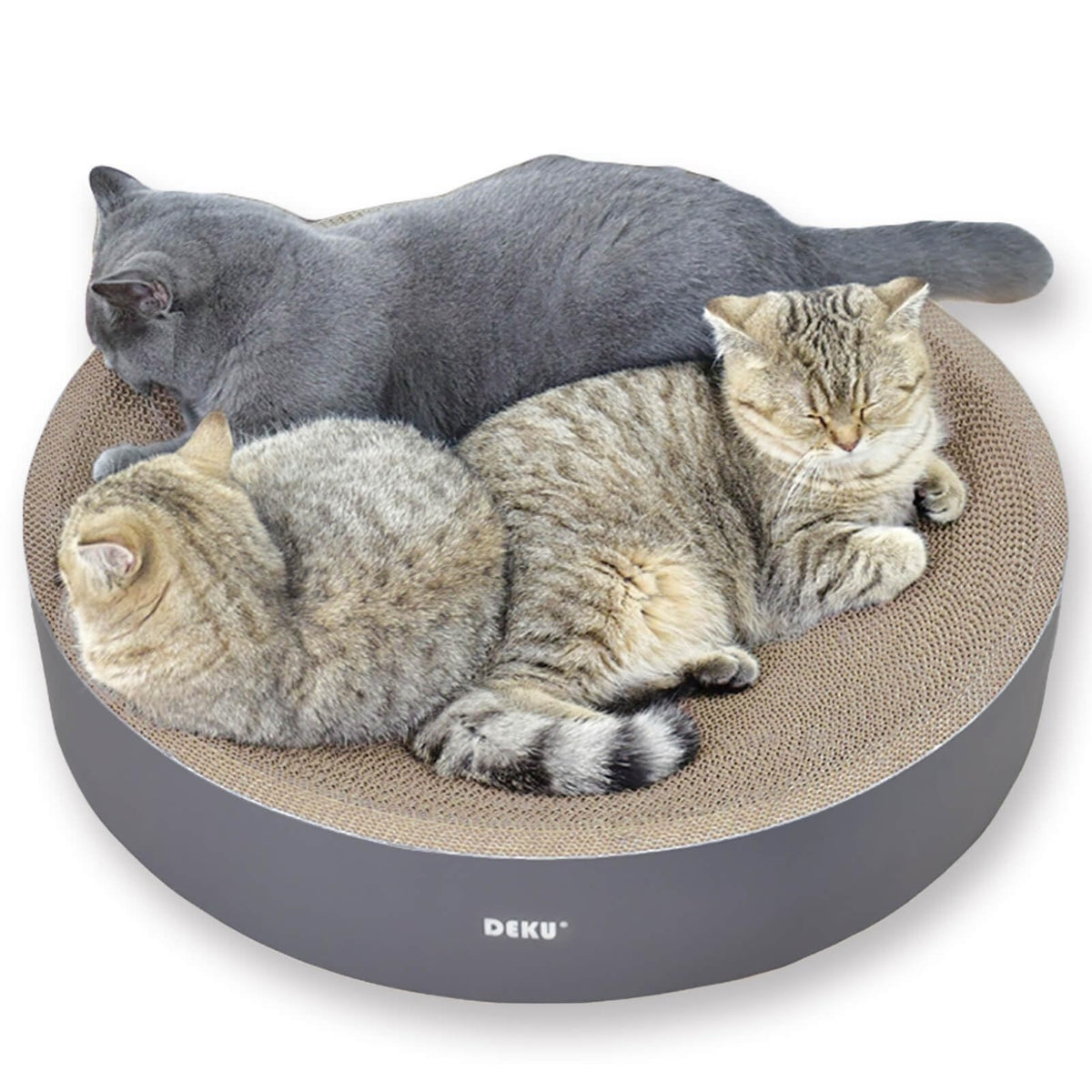 IPEAIN grattoir chat rond design courbe soutient le cou lors du repos.