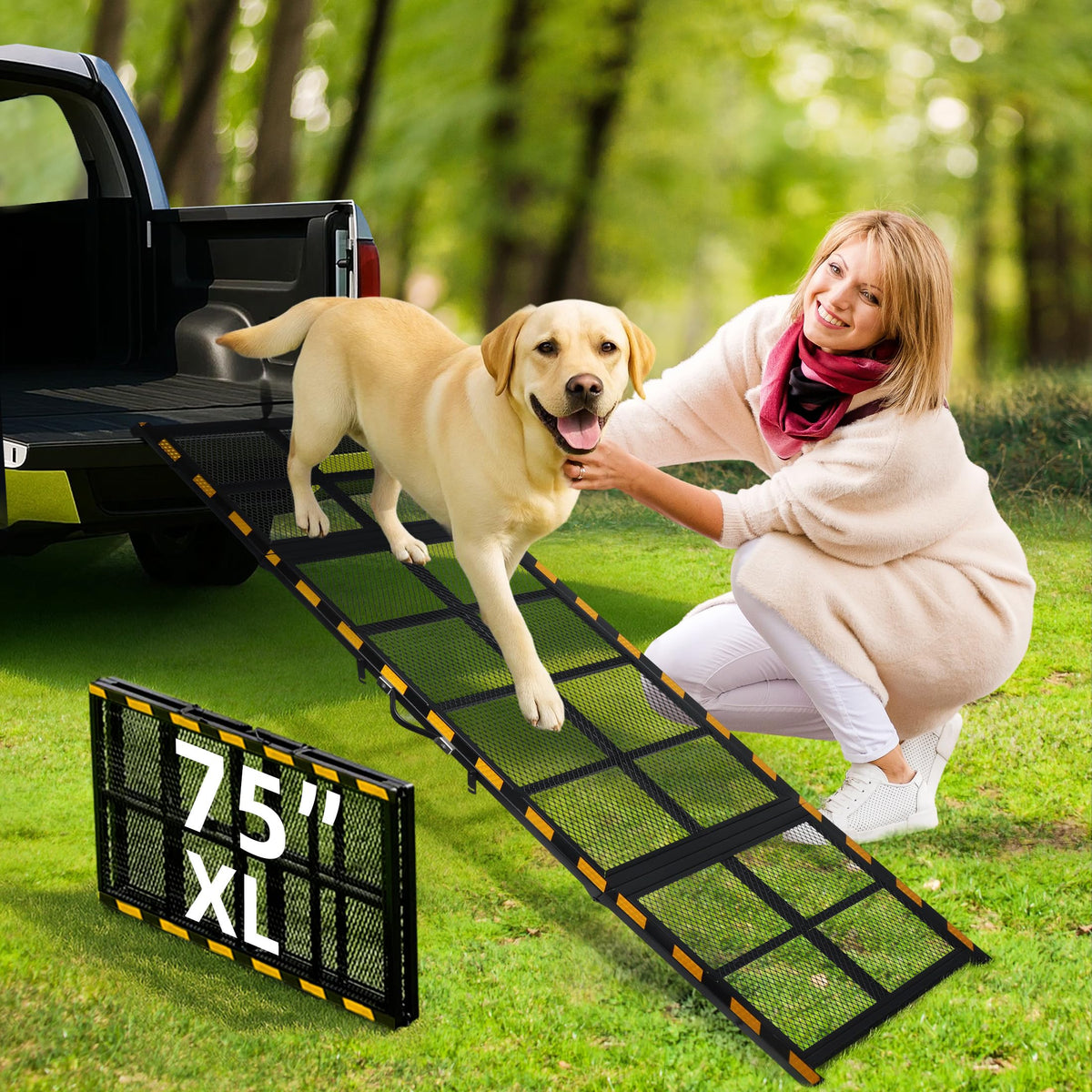 Rampe iPetba pour chien-auto-passage : facilite l'entrée en douceur dans le véhicule.
