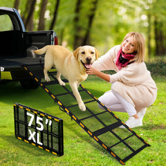 Rampe iPetba pour chien-auto-passage : facilite l'entrée en douceur dans le véhicule.