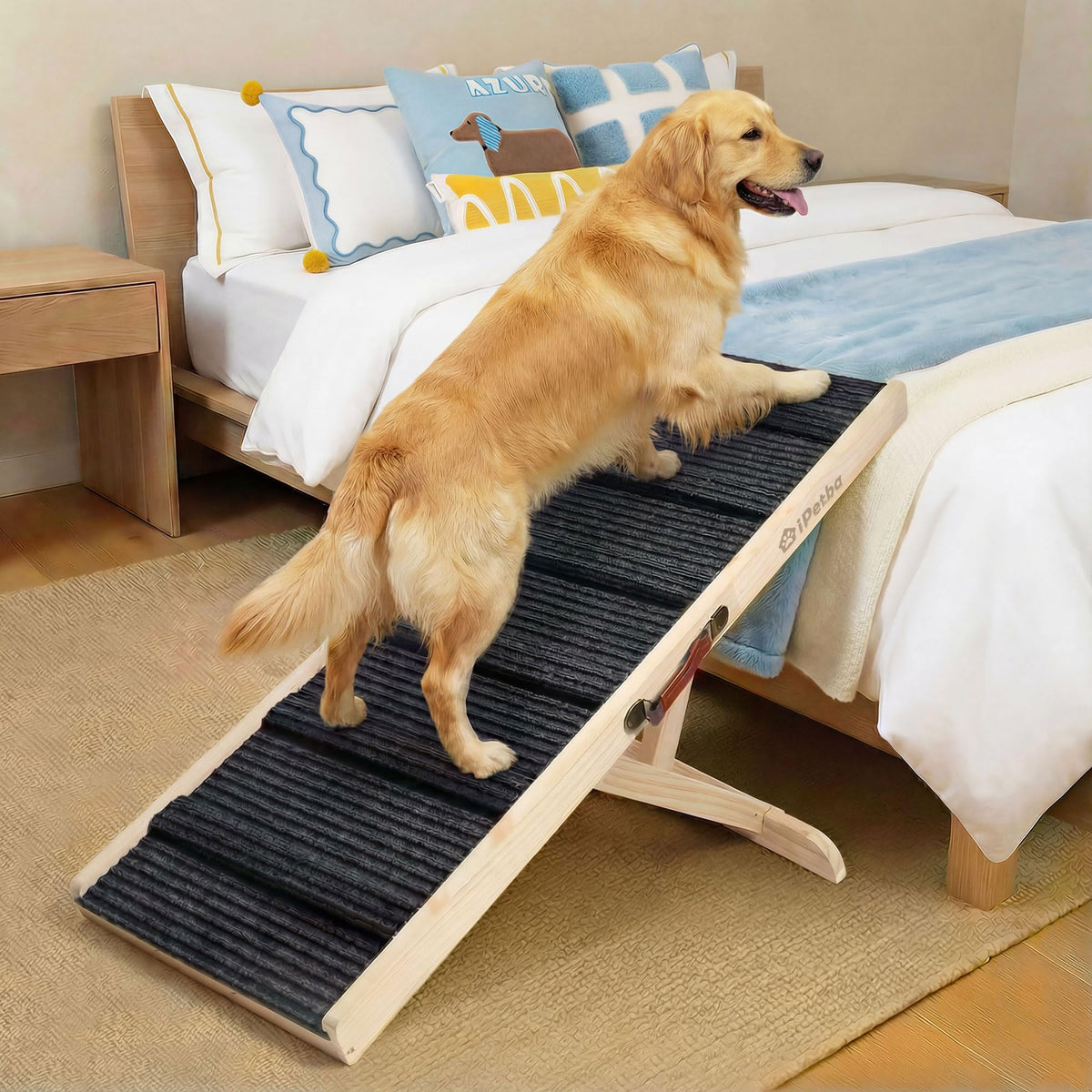 iPetba rampe chien lit canapé avec pente douce pour des montées faciles