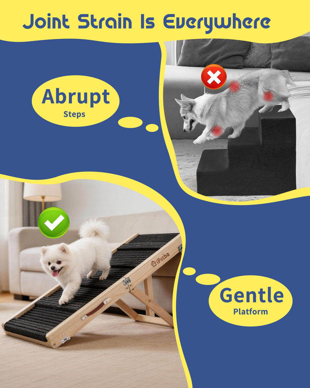Rampe pliable et portable iPetba, idéale pour le déplacement entre pièces.