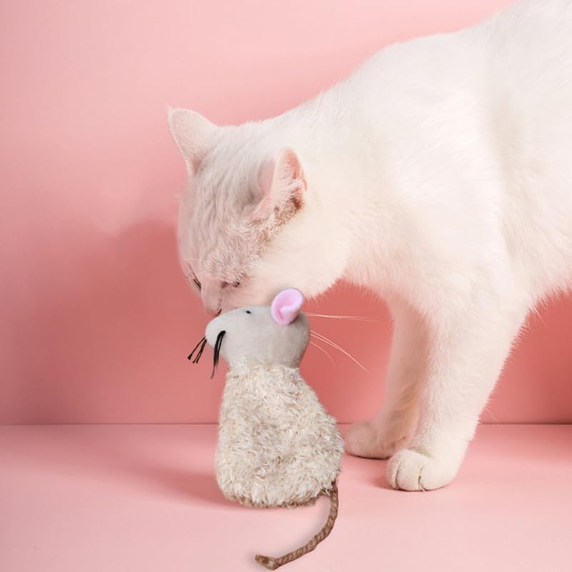 Ipetboom jouet dentition et jeu chaton soutien du bien-être quotidien