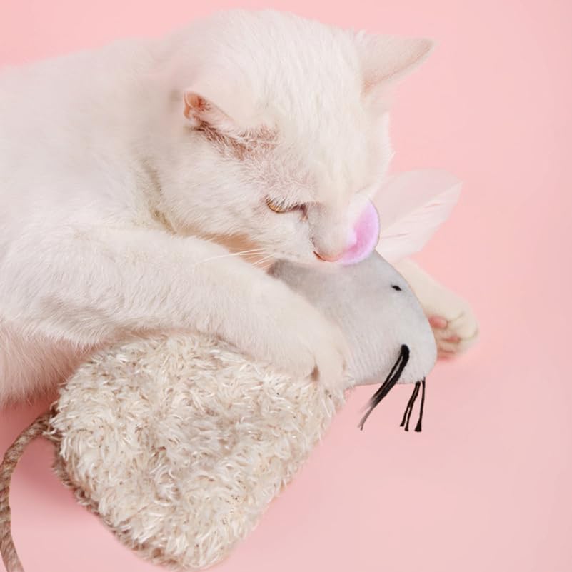 Ipetboom peluche dessin animé chaton adorable pendant le jeu