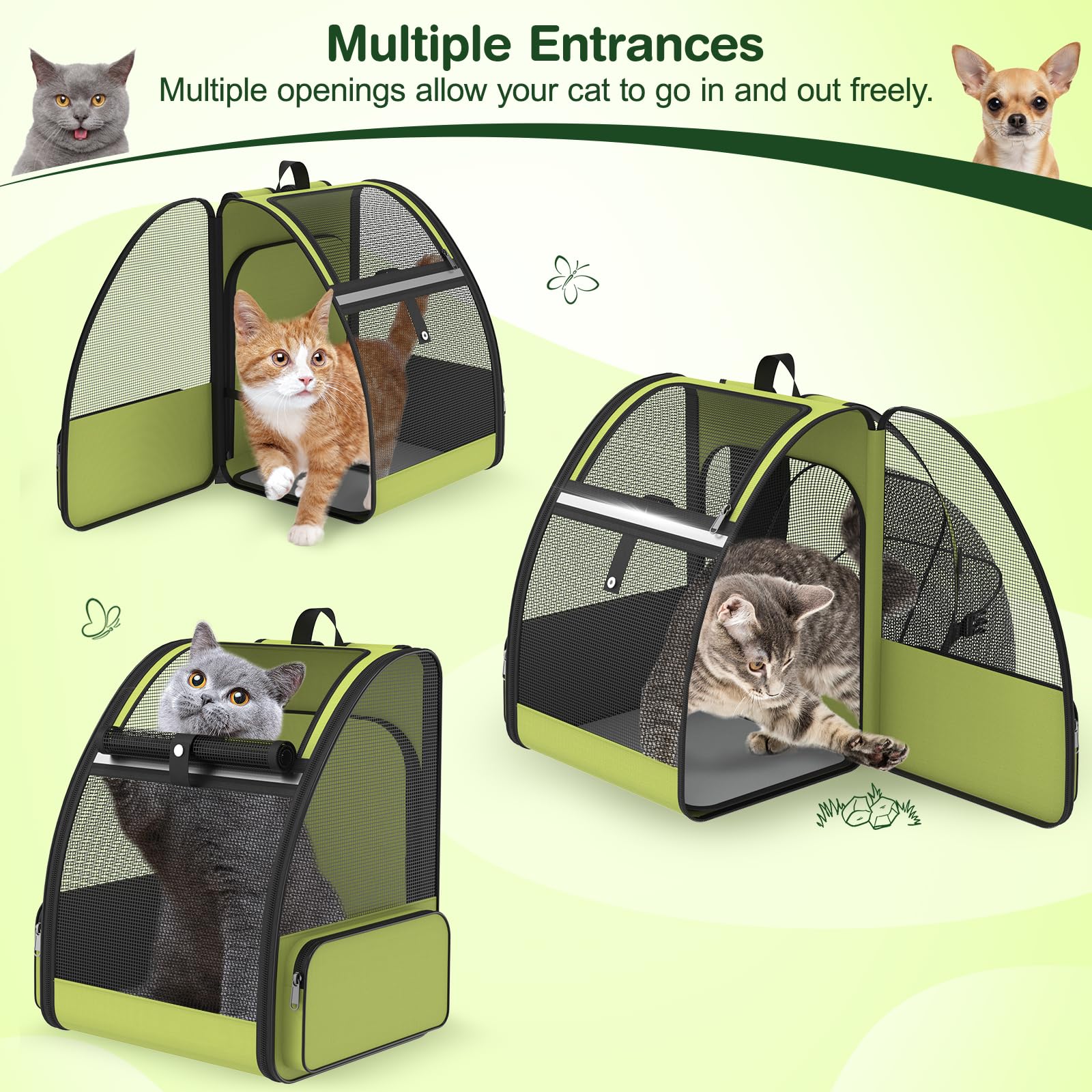 ipetstation utilisation-voyage-quotidien accompagne chats lors de voyages et visites