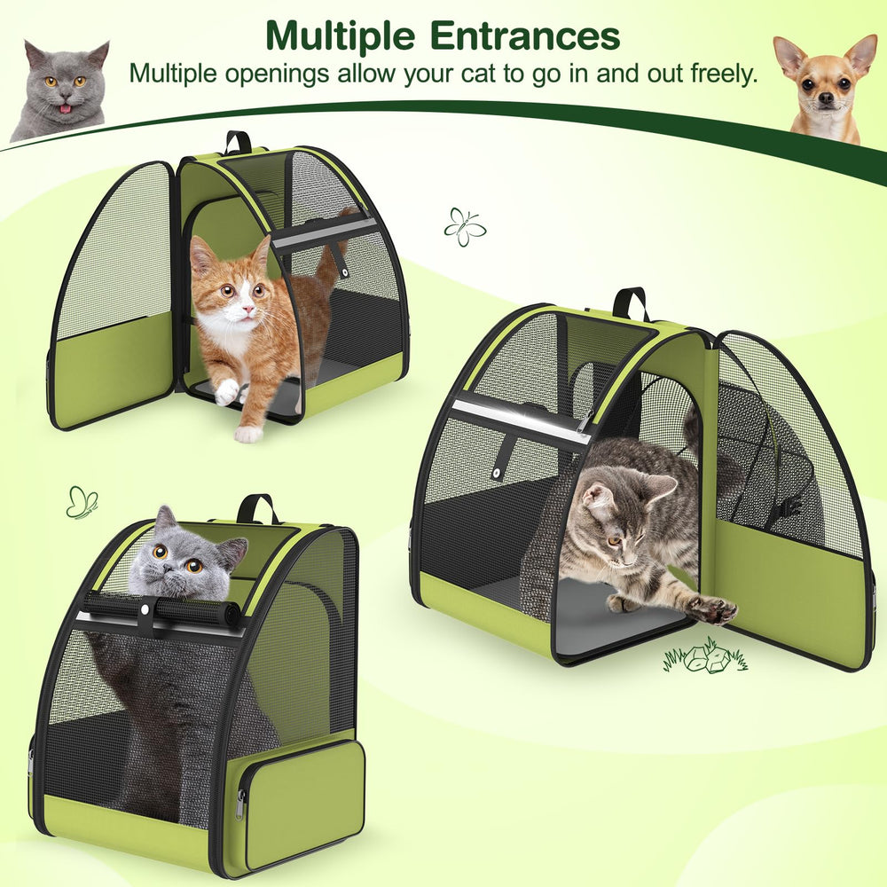 ipetstation utilisation-voyage-quotidien accompagne chats lors de voyages et visites