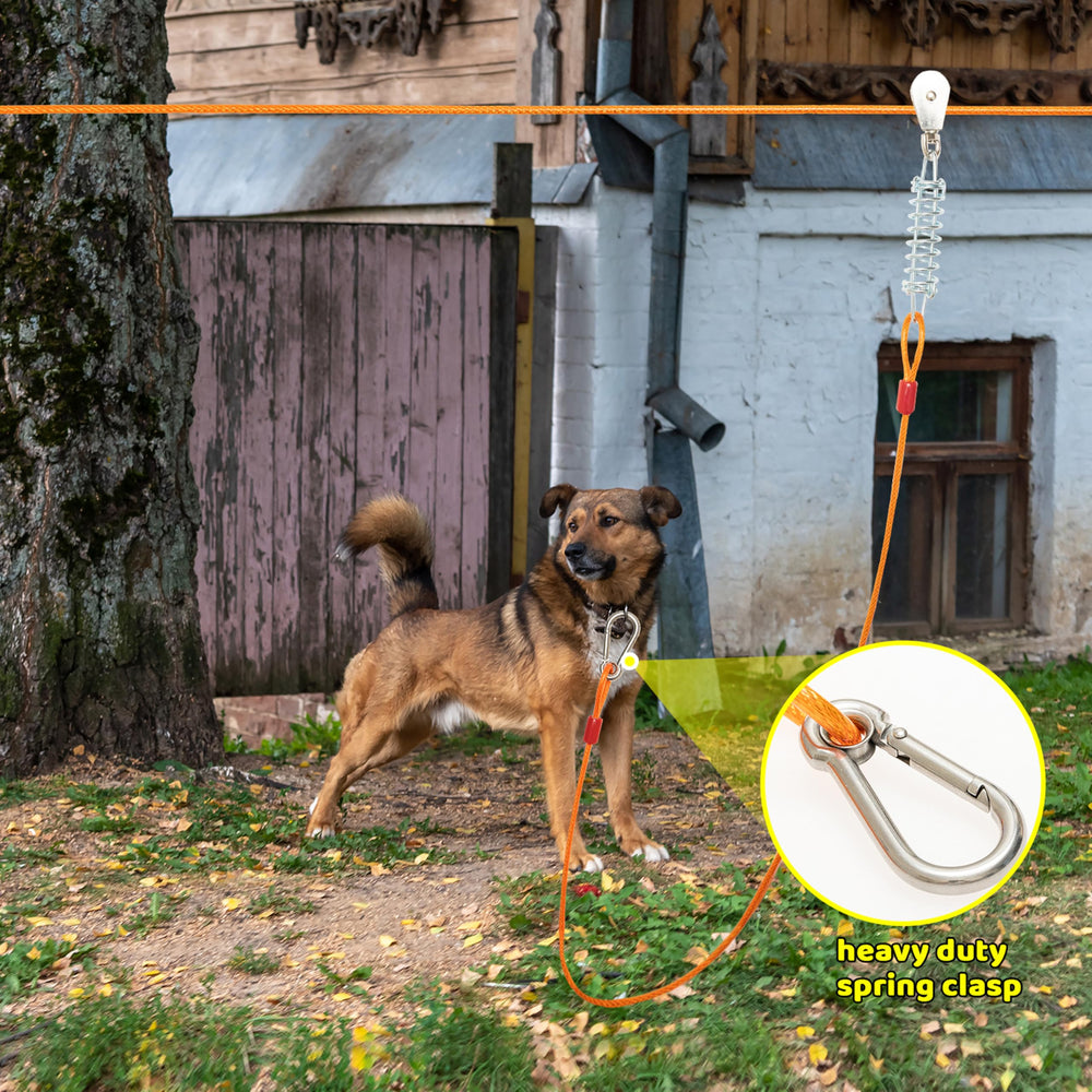 IPRAVOCI chien-exterieur-utilisation—visibilité accrue et liberté mesurée