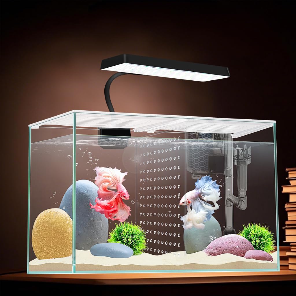 iPriro aquarium nano de 11,4 litres, vue d ensemble net sur Bettas et petits poissons.