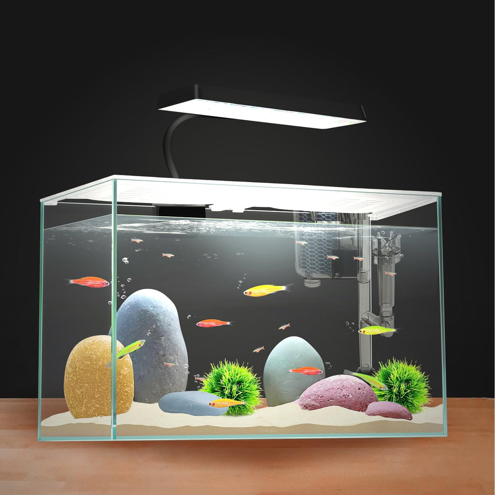 iPriro diviseur Betta plaque facilitant l organisation du décor.