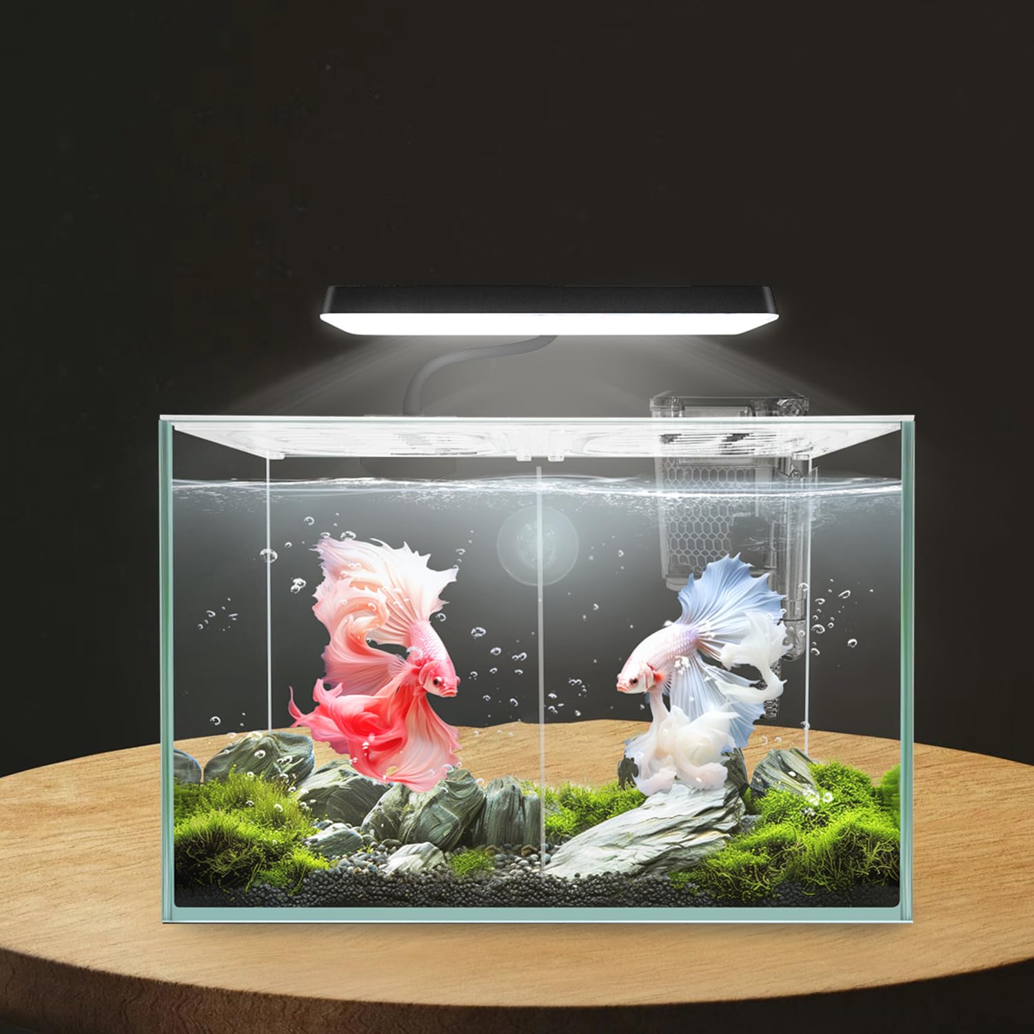 iPriro emballage cadeau soigné prêt à offrir un aquarium.