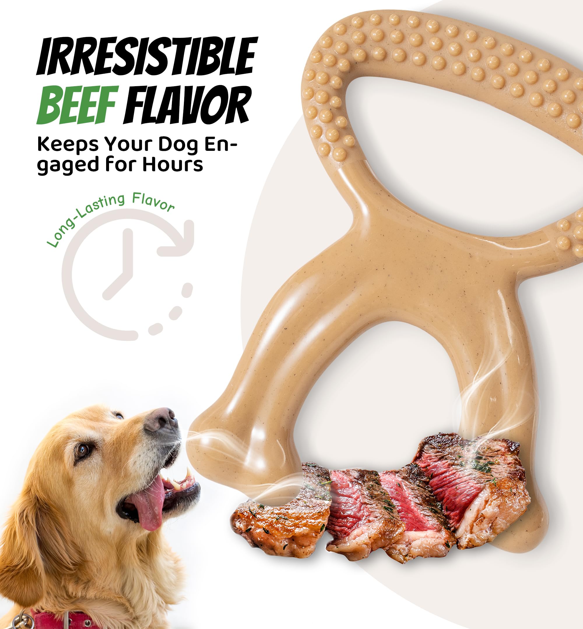 IPTPAS bords-arrondis-nylon-chien: sécurité accrue et expérience de mâchage confortable.