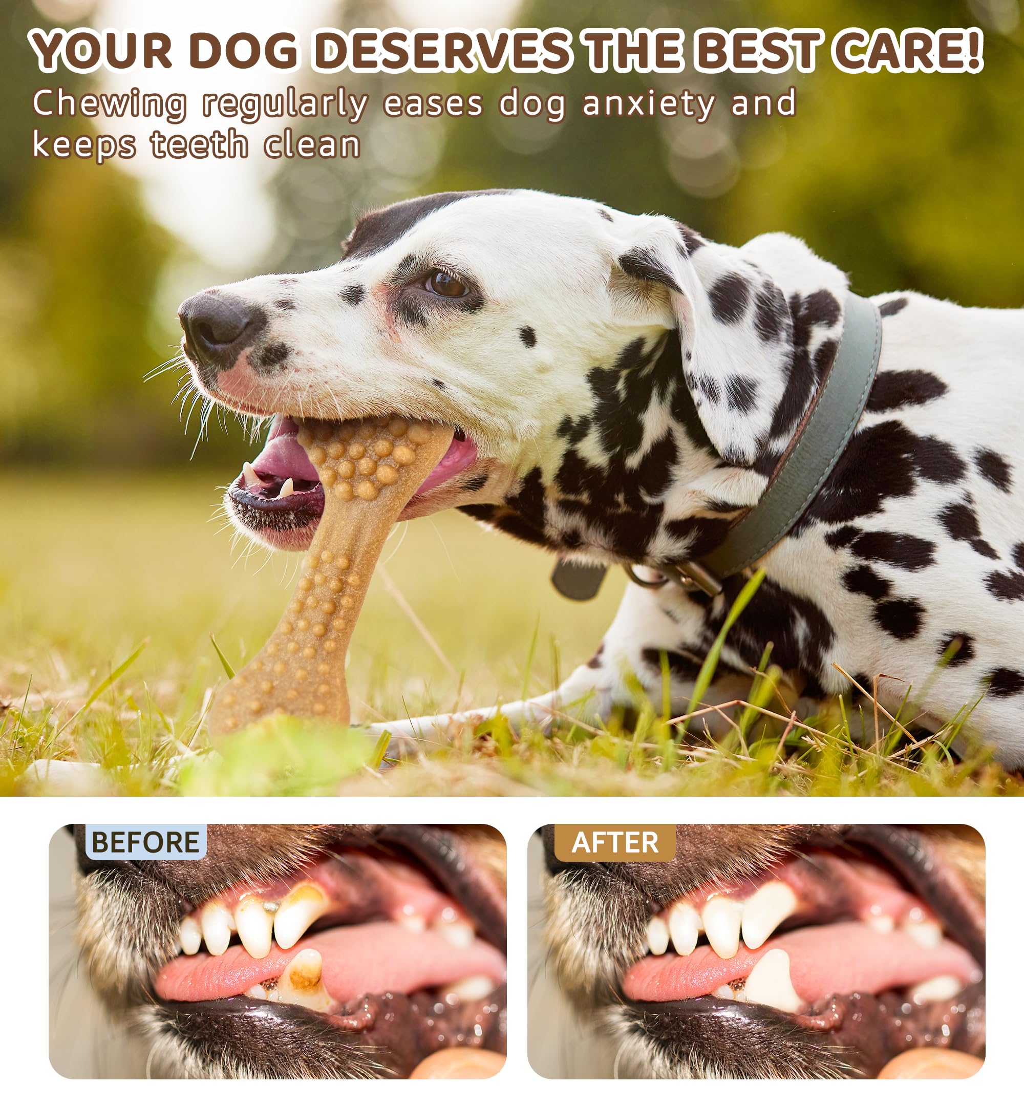 IPTPAS education-dentale-chiens rend le brossage ludique et efficace.