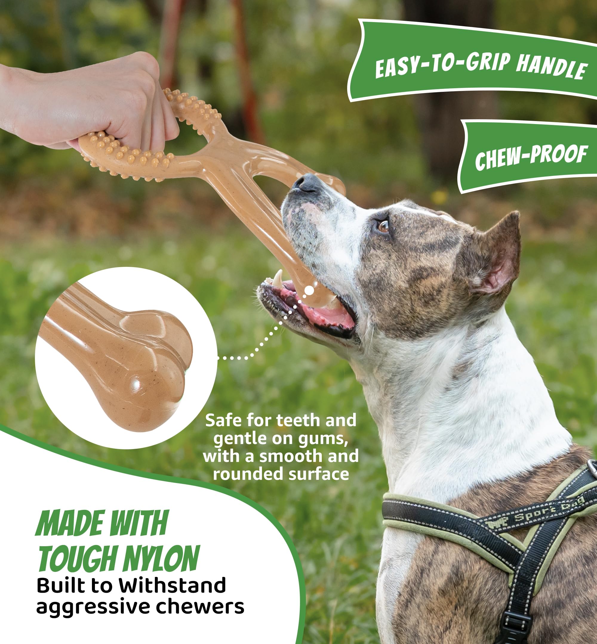 IPTPAS gout-boeuf-nylon-chien: goût durable pour stimuler la mastication et l'intérêt.