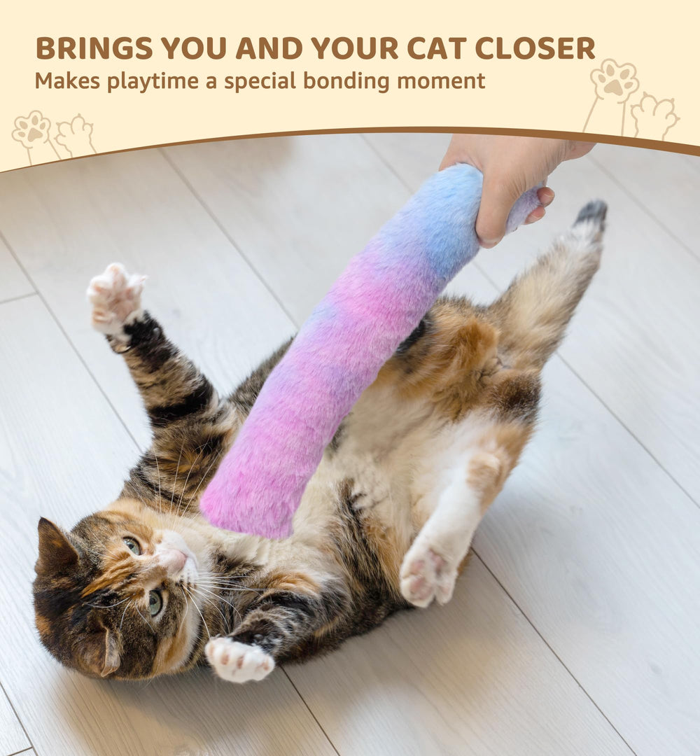IPTPAS jouet-activité physique pour chats d’intérieur et chatons.