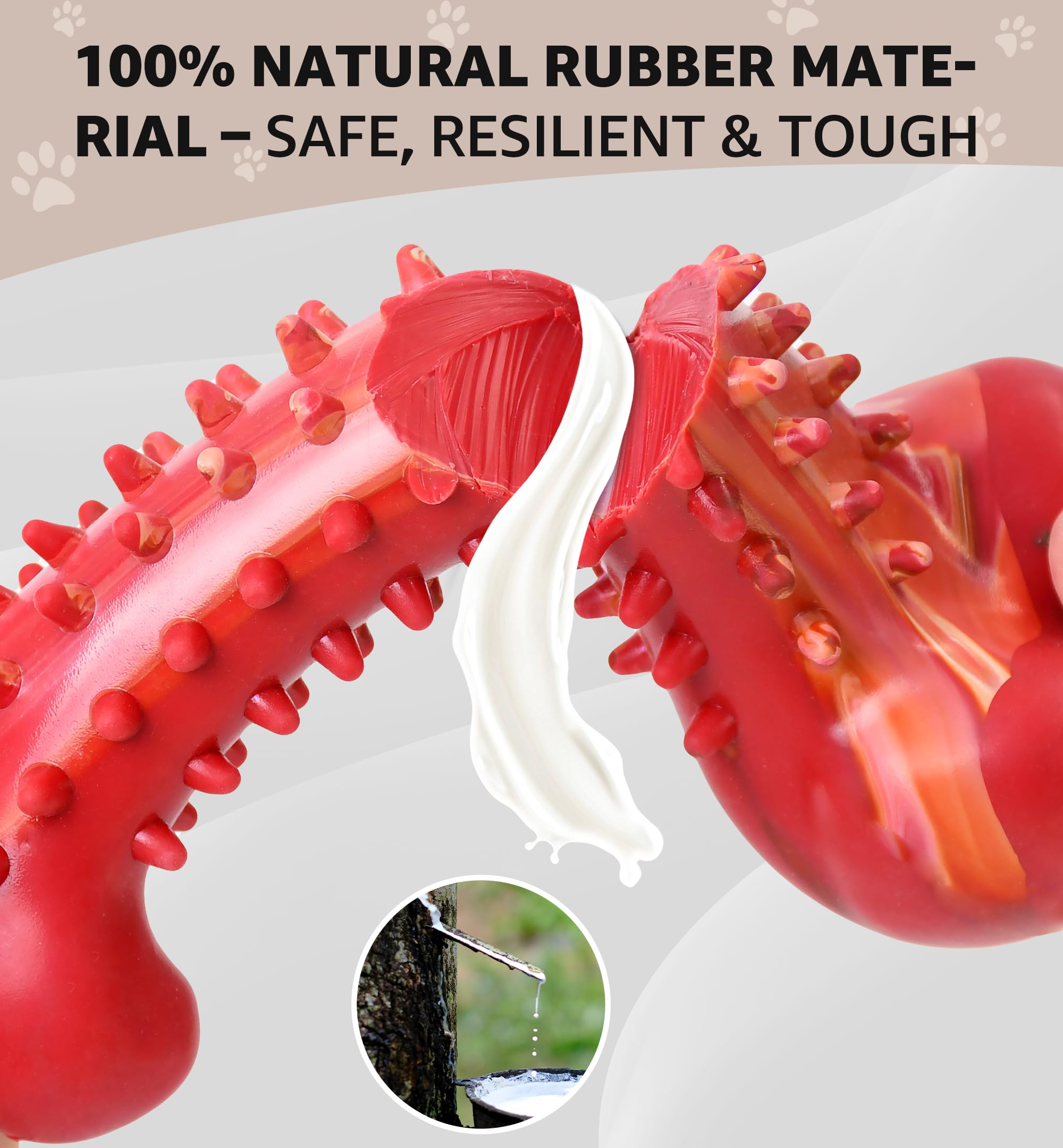 Jouet IPTPAS pour chien – nettoyage des dents pendant le jeu.