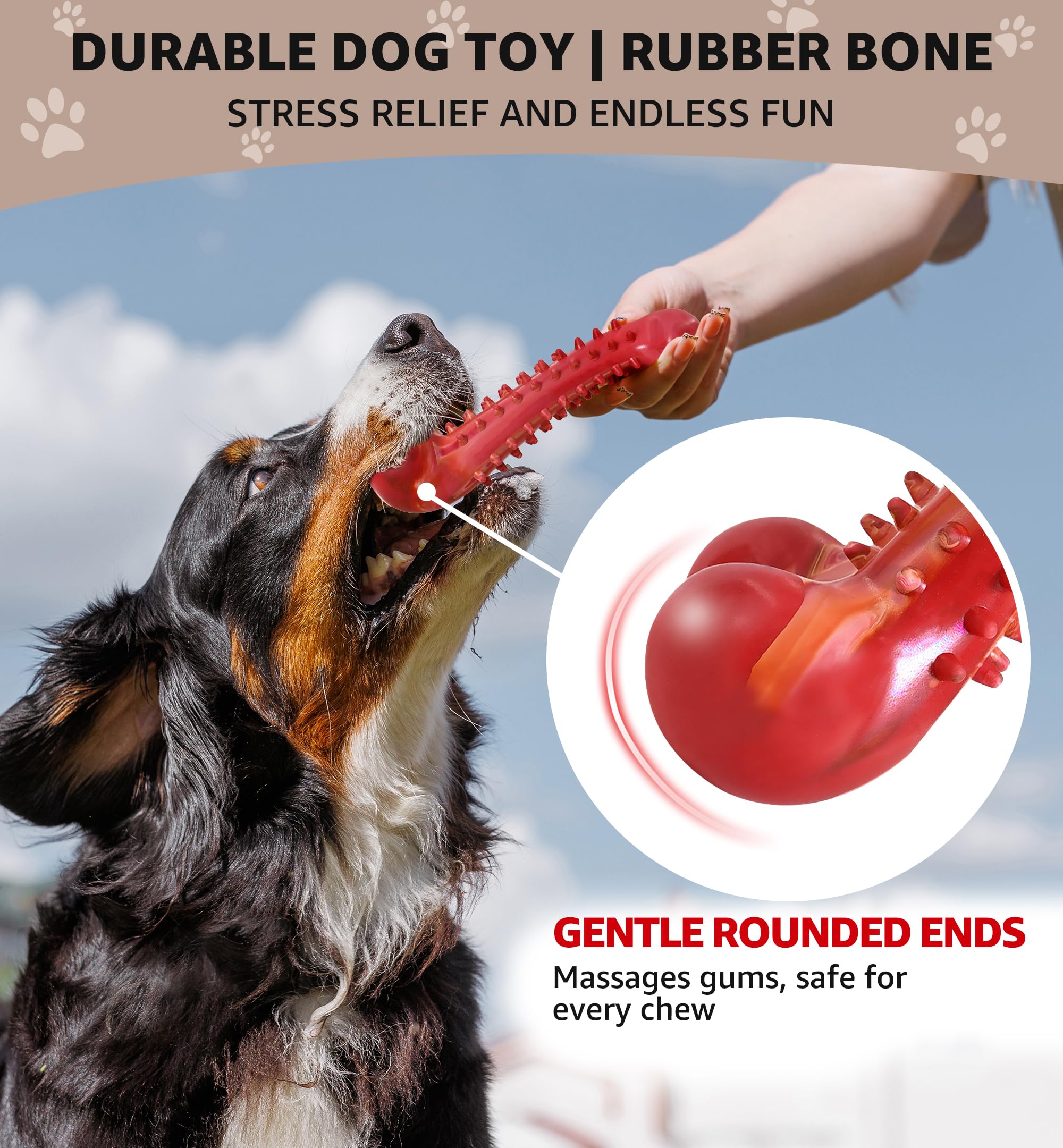 Jouet IPTPAS pour chien – saveur boeuf pour plus de plaisir.