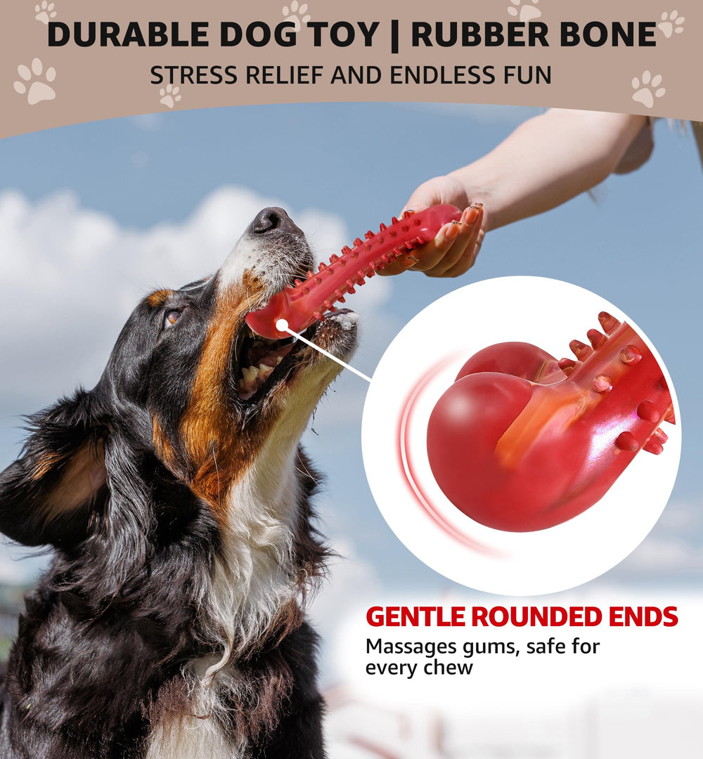 Jouet IPTPAS pour chien – saveur boeuf pour plus de plaisir.