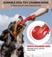 Jouet IPTPAS pour chien – saveur boeuf pour plus de plaisir.