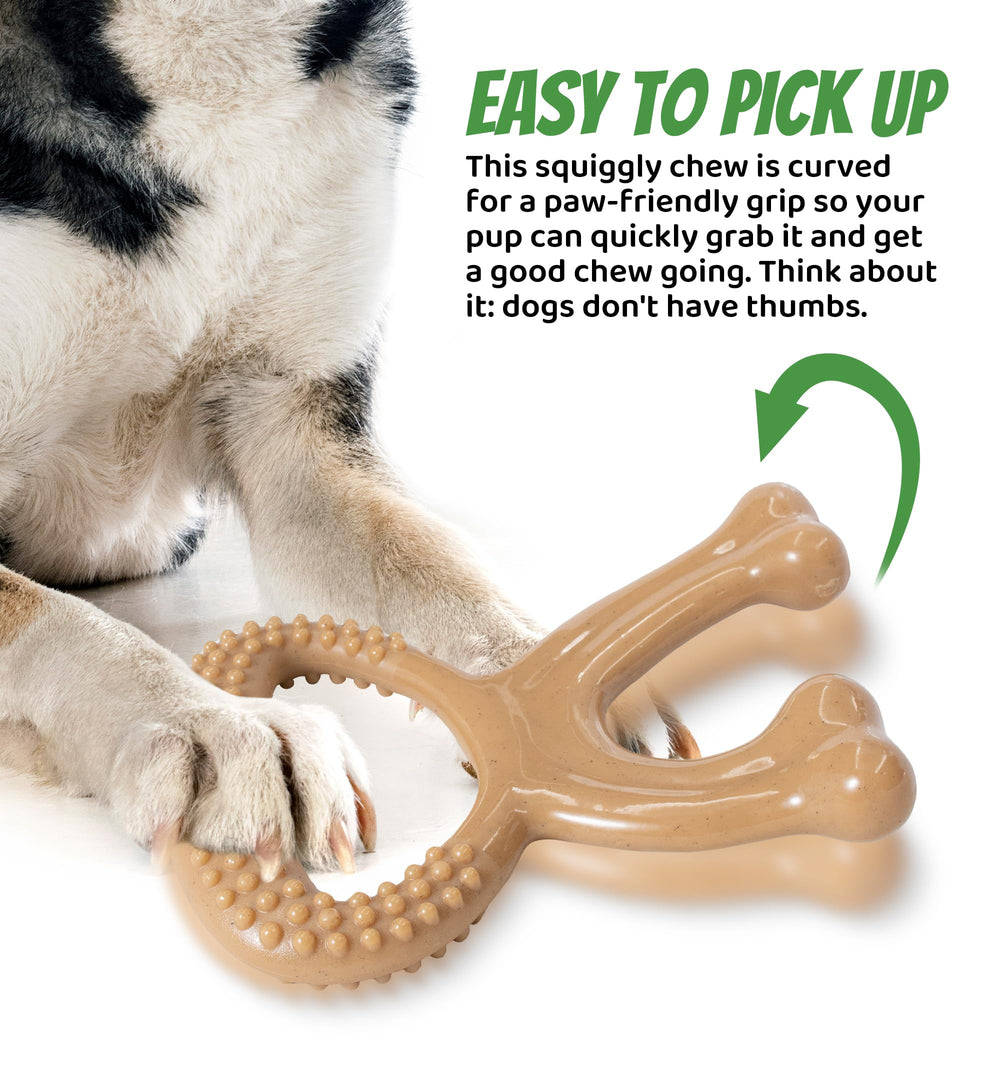 IPTPAS manche-ergonomique-nylon-chien: prise aisée et jeux interactifs pour renforcer le lien.