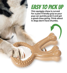 IPTPAS manche-ergonomique-nylon-chien: prise aisée et jeux interactifs pour renforcer le lien.