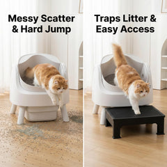 IQMaoGo Rampe litière ajustable 5,9 pouces pour chats âgés