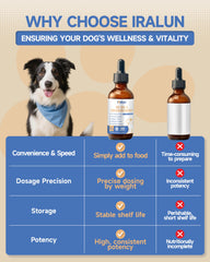 Mélange champignons bio IRALUN pour chien, soutien global potentiel.