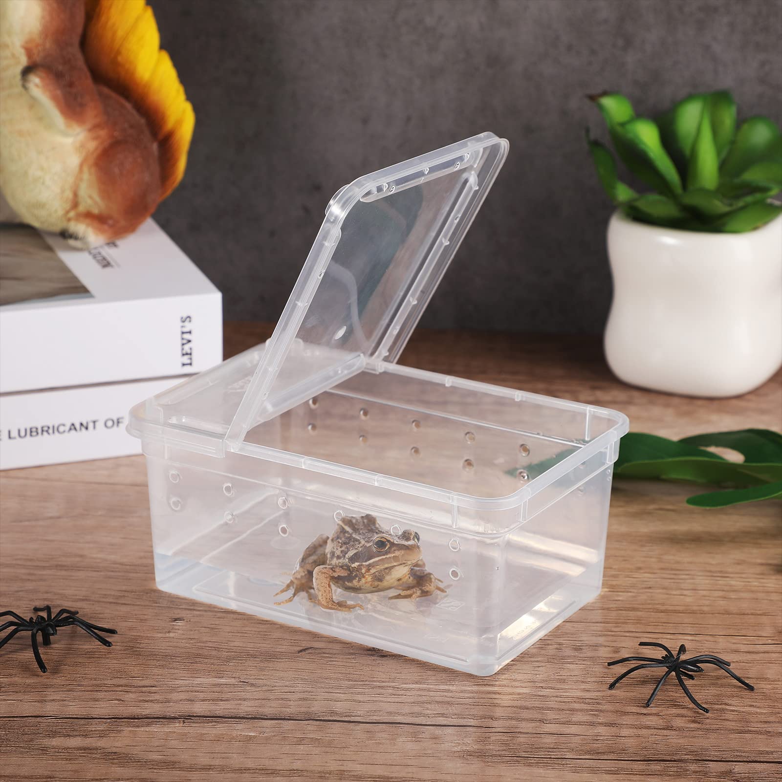 Irenare boîte reptile à ouverture double, accès pratique.