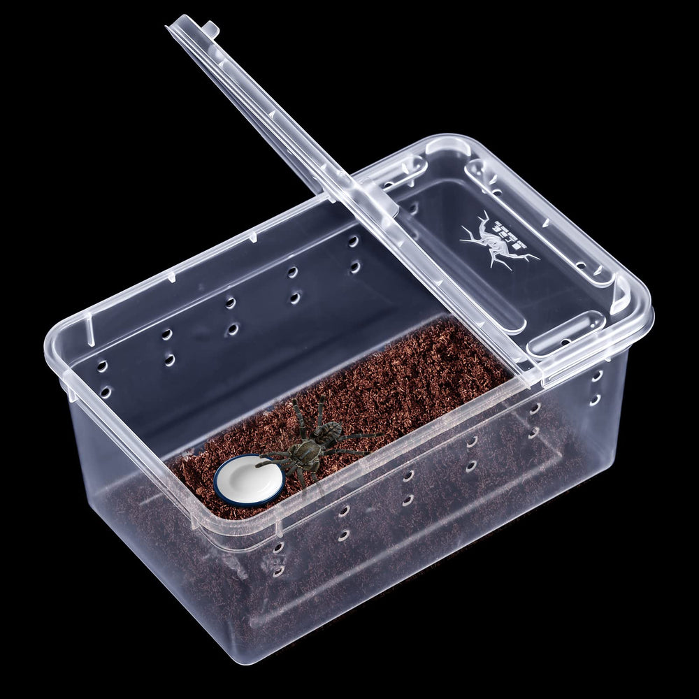 Irenare boîte reptile transparente, plastique sûr et durable.