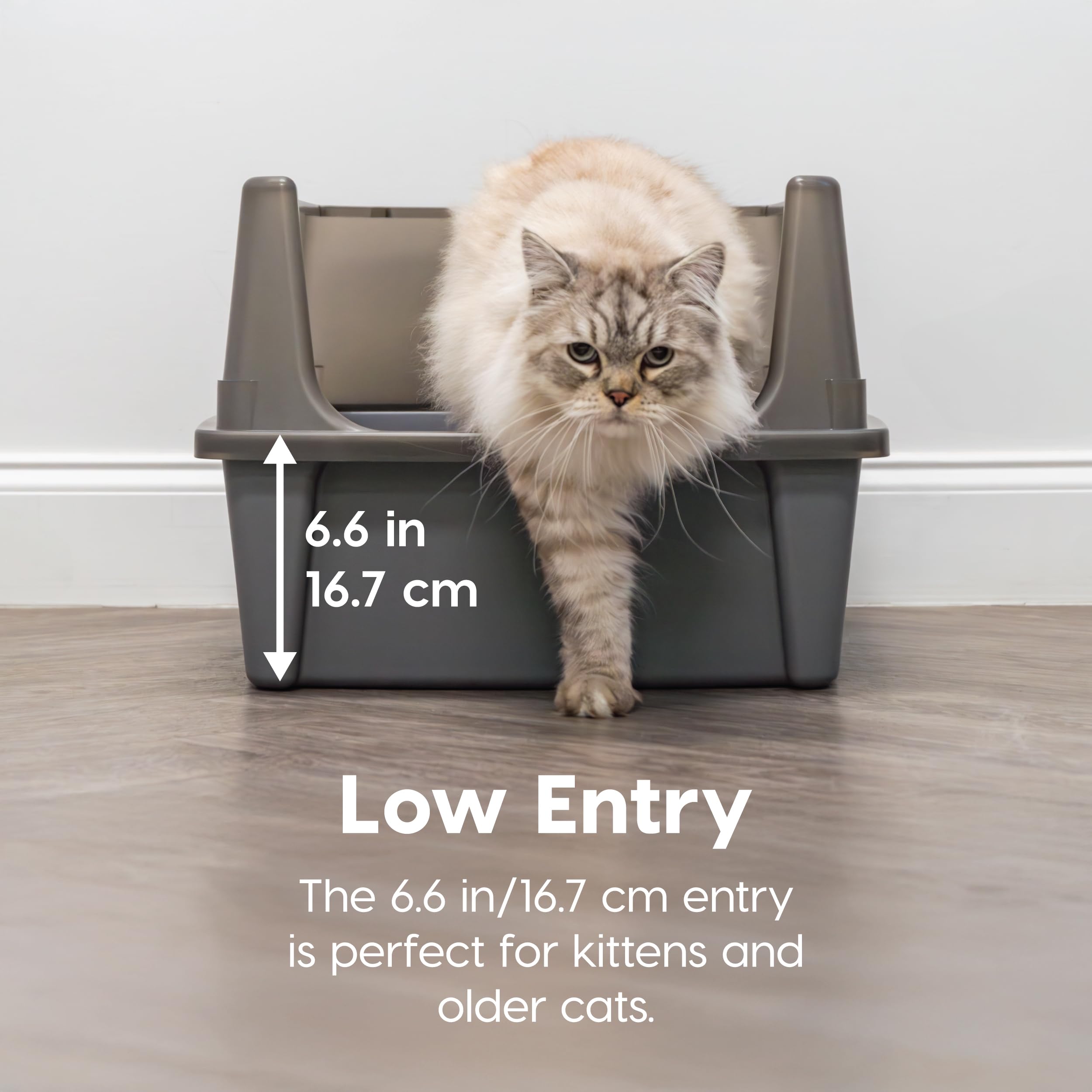 Entrée arquée Iris USA XX-Large, intimité et accessibilité pour chats.