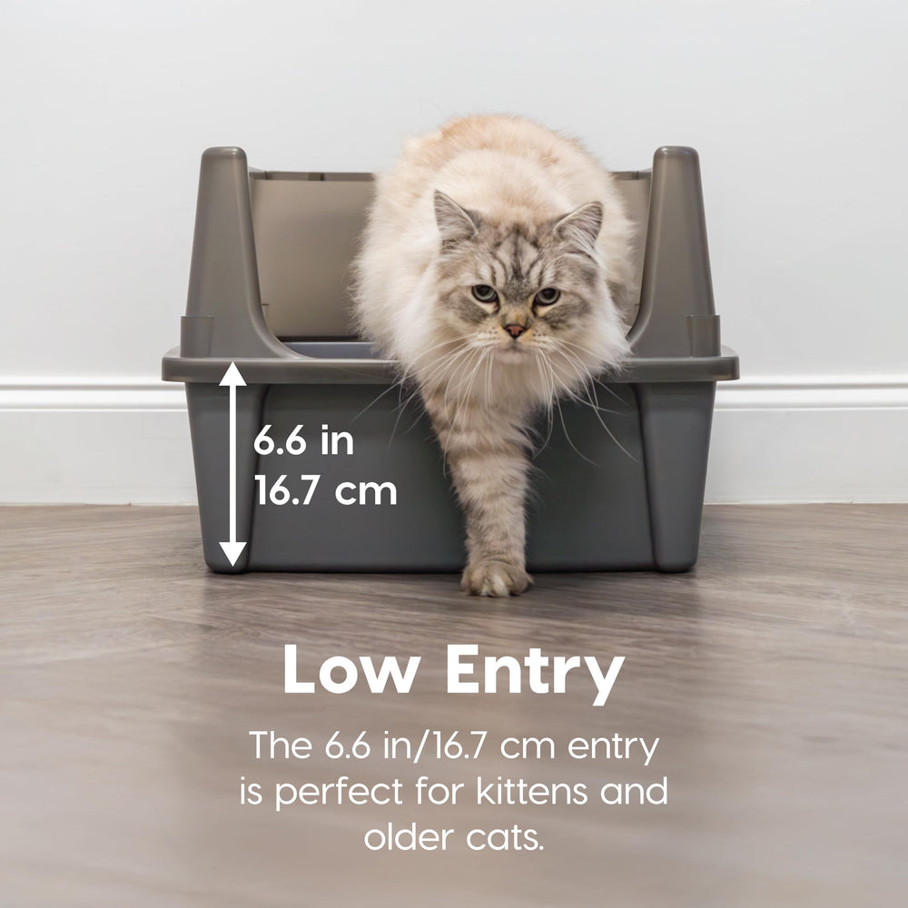 Entrée arquée Iris USA XX-Large, intimité et accessibilité pour chats.