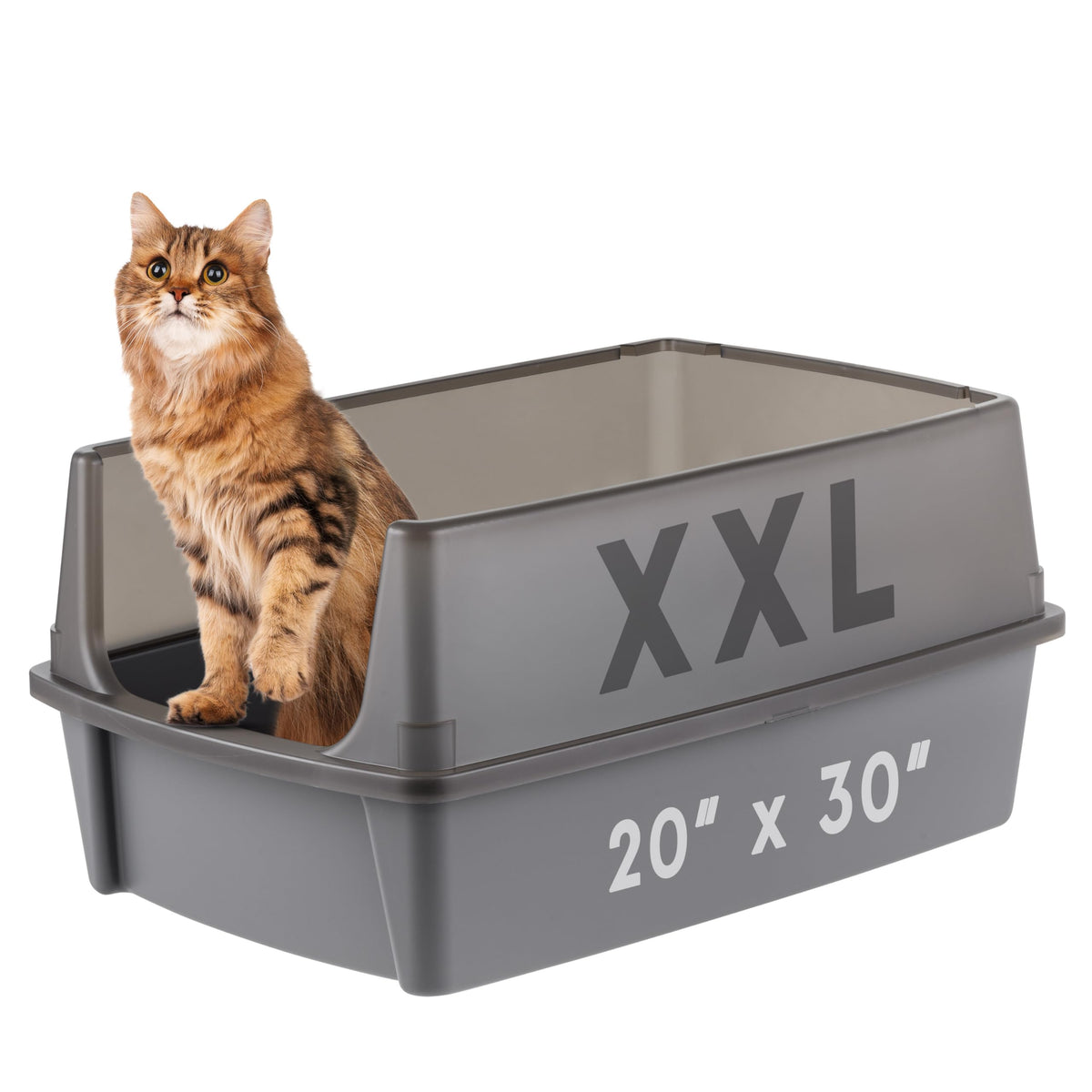 Boîte Iris USA XX-Large ouverte, espace généreux pour grands félins et multi-chats.