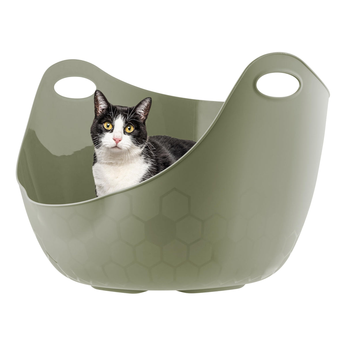 IRIS USA chat-litter-box murs-hauts: réduction des éclaboussures et propreté accrue.