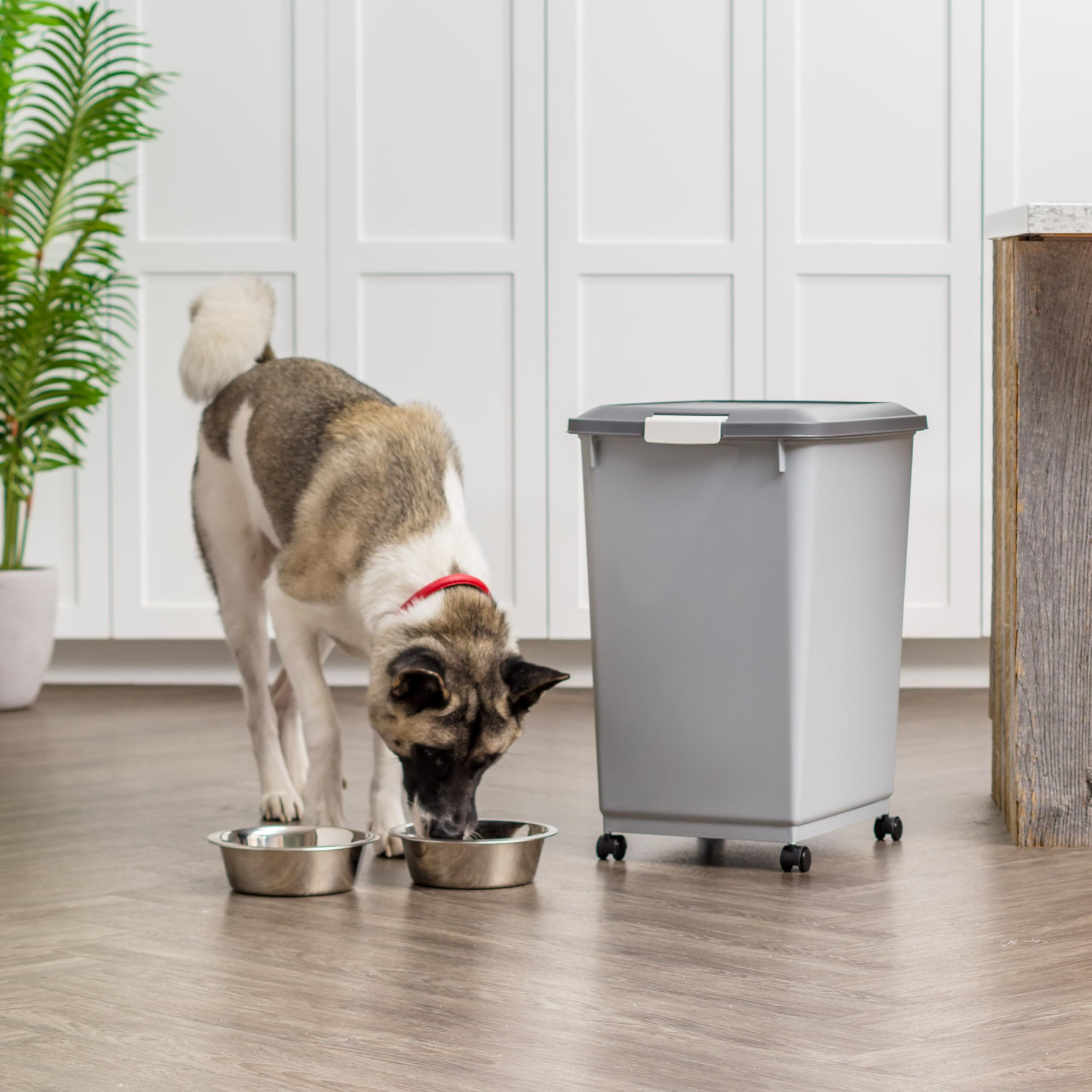IRIS USA Design gris foncé, style discret et robuste.