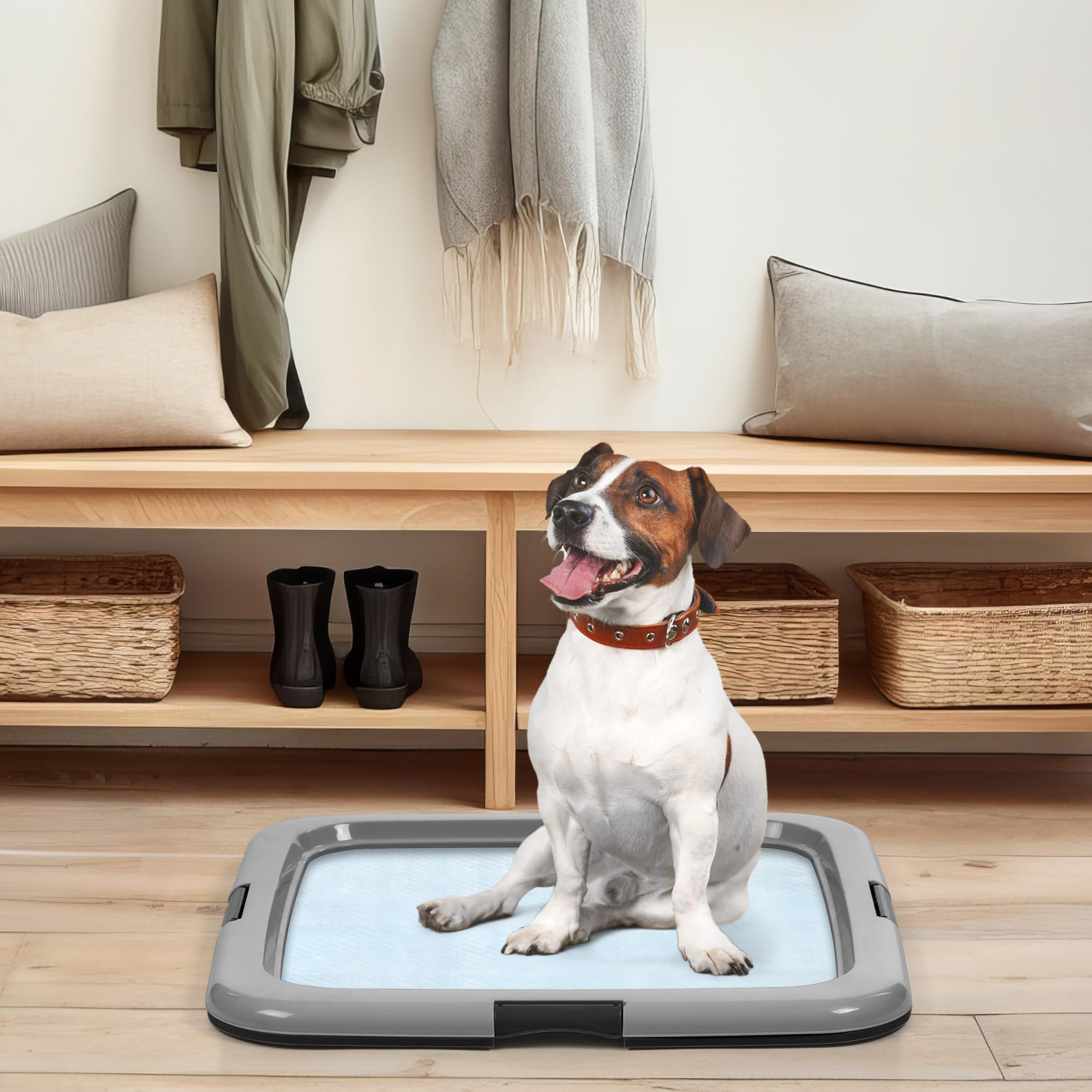 Conçu pour chiens et chiots, pratique en foyer multi-animaux.